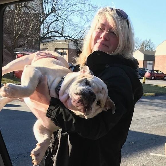 Meet your Posher, Dawn - Picture 1 of 1